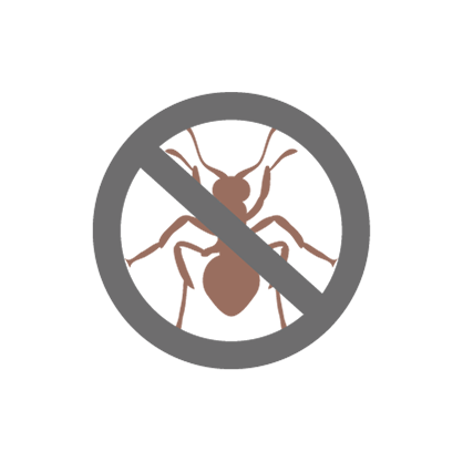 Termite resistant